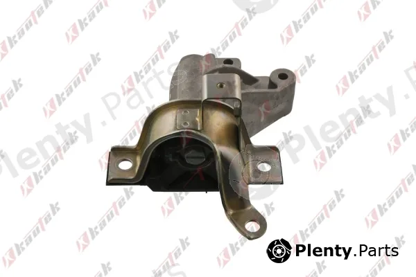 Kautek FI-EM006 — Mounting, engine