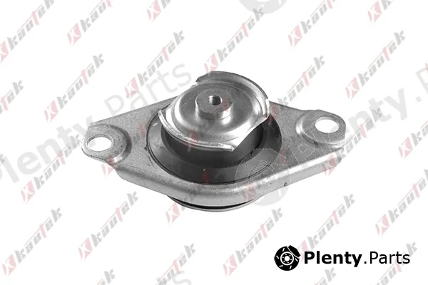 Kautek FI-EM065 — Mounting, engine
