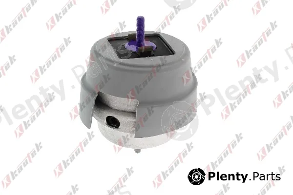 Kautek AU-EM031 — Mounting, engine