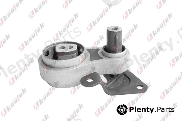 Kautek FD-TM004 — Mounting, automatic transmission
