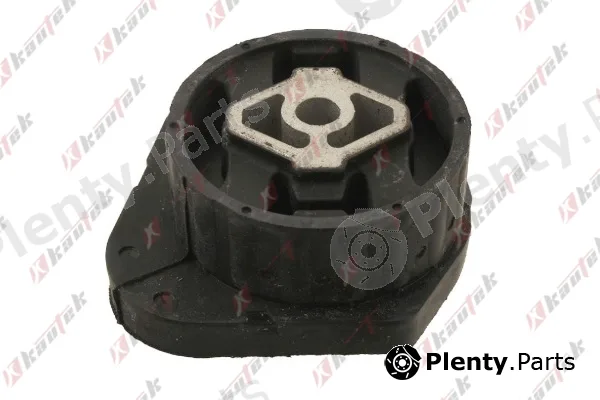 Kautek BM-TM016 — Mounting, automatic transmission
