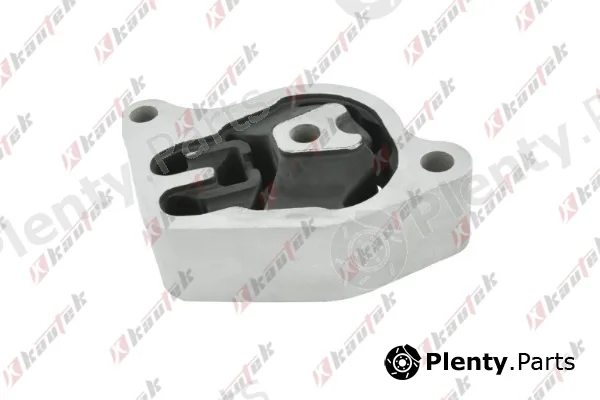 Kautek NI-EM008 — Mounting, engine