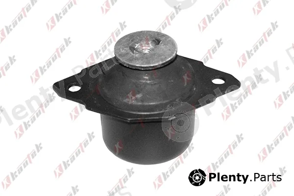 Kautek VW-EM027 — Mounting, engine