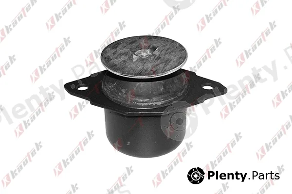 Kautek VW-EM030 — Mounting, engine