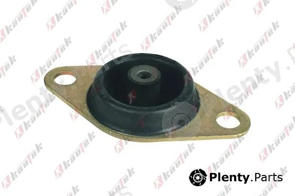 Kautek FI-EM078 — Mounting, engine