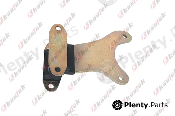Kautek FI-TM011 — Mounting, automatic transmission