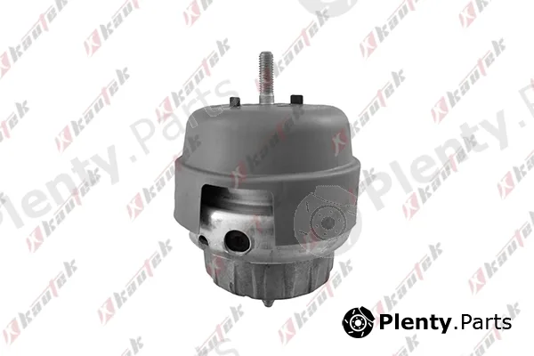 Kautek AU-EM009 — Mounting, engine