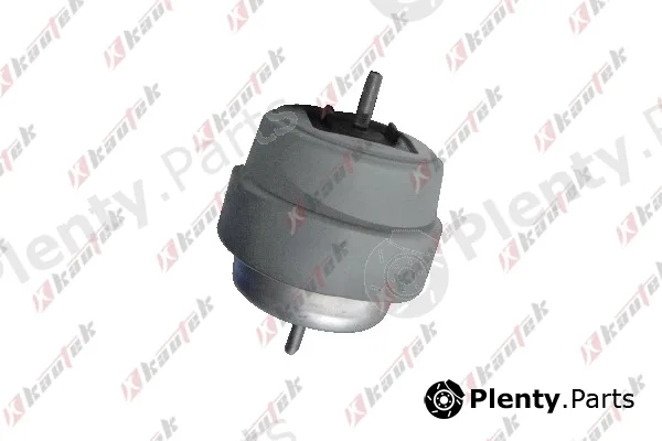 Kautek AU-EM029 — Mounting, engine
