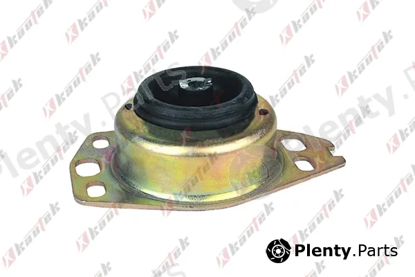 Kautek FI-TM016 — Mounting, automatic transmission