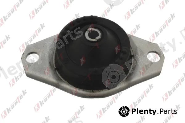 Kautek AF-EM001 — Mounting, engine