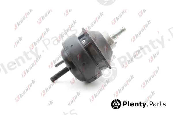 Kautek FD-EM021 — Mounting, engine