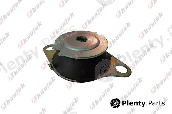 Kautek FI-EM062 — Mounting, automatic transmission