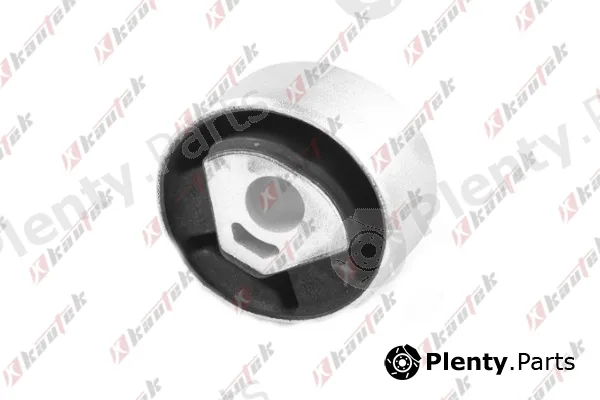 Kautek FI-BS121 — Mounting, engine