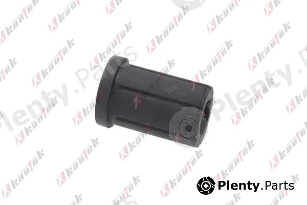 Kautek TO-BS149 — Mounting, leaf spring