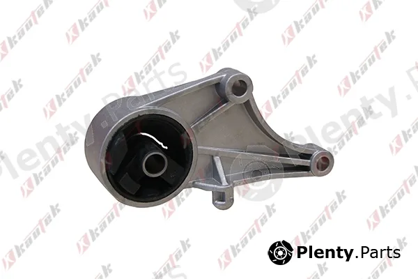 Kautek OP-EM008 — Mounting, engine