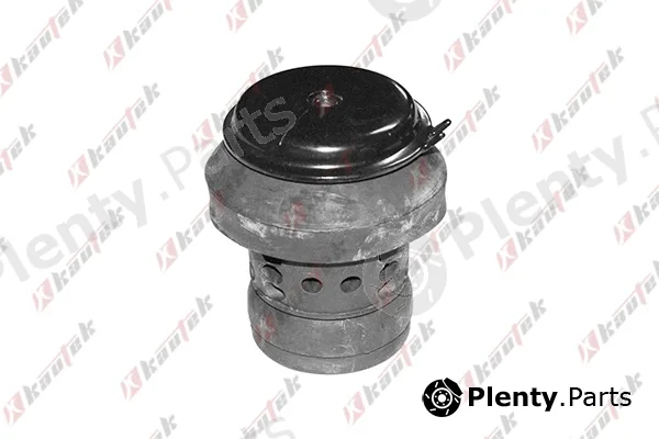 Kautek AU-EM006 — Mounting, engine
