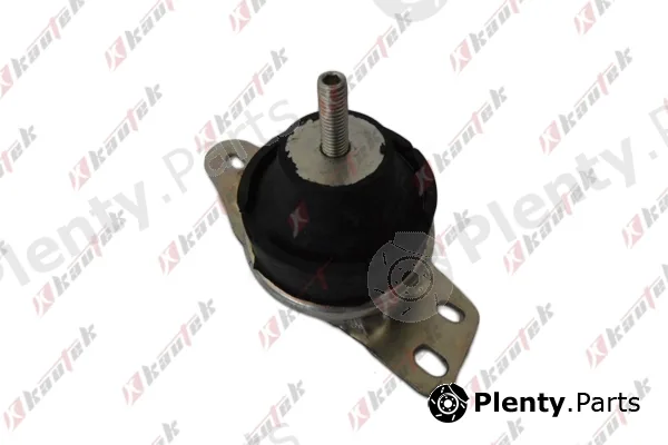 Kautek PE-EM019 — Mounting, engine