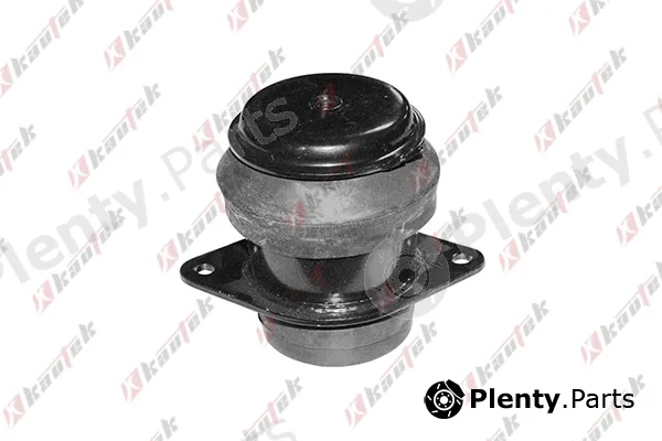 Kautek VW-EM058 — Mounting, engine