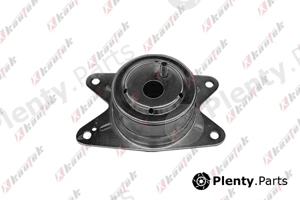 Kautek OP-EM027 — Mounting, engine