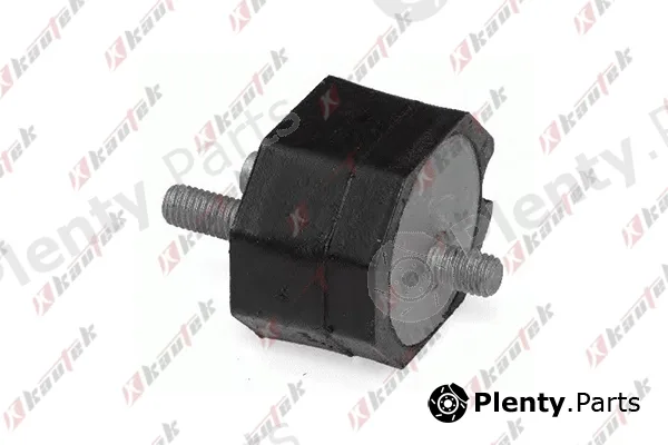 Kautek BM-TM001 — Mounting, automatic transmission