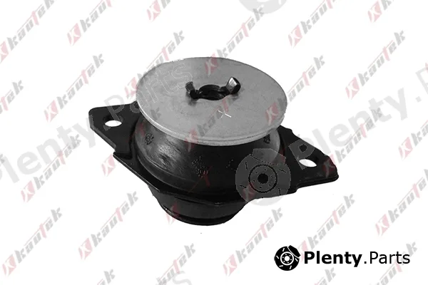Kautek VW-EM007 — Mounting, engine