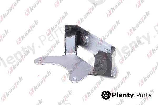Kautek FI-TM002 — Mounting, automatic transmission