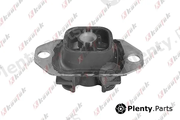 Kautek RE-TM002 — Mounting, automatic transmission