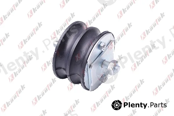 Kautek FI-EM004 — Mounting, engine