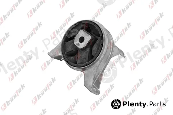 Kautek OP-EM028 — Mounting, engine
