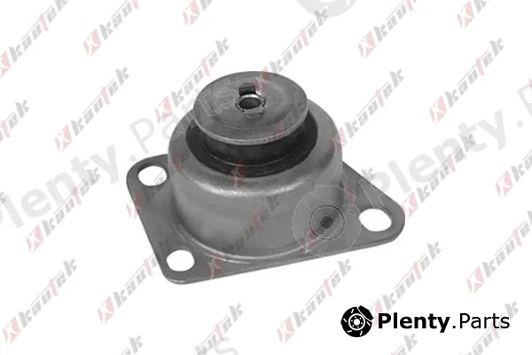 Kautek FI-TM014 — Mounting, automatic transmission