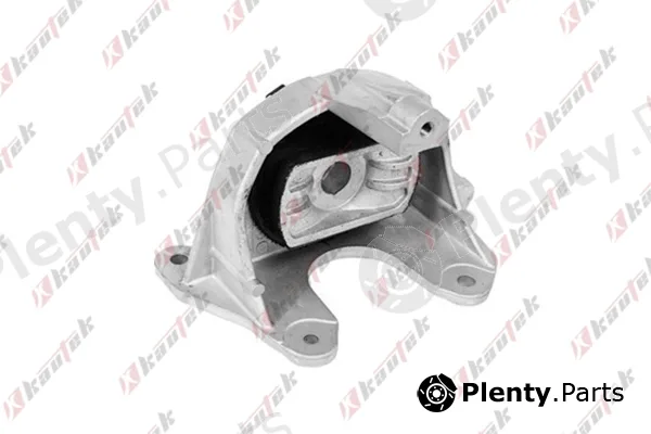 Kautek FI-EM008 — Mounting, engine