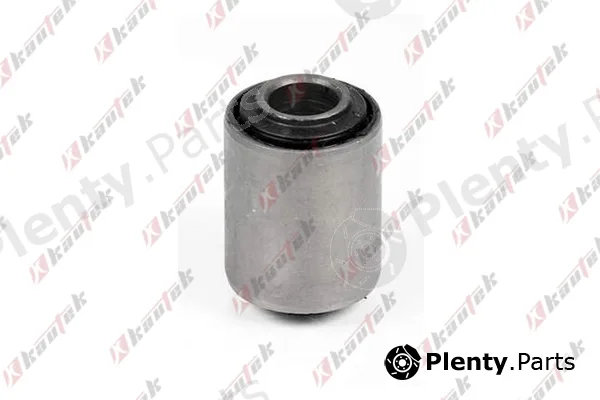 Kautek RE-BS004 — Mounting, control/trailing arm