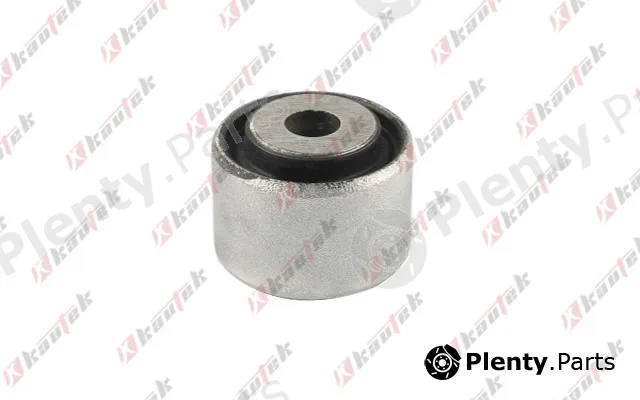 Kautek CH-BS119 — Mounting, control/trailing arm