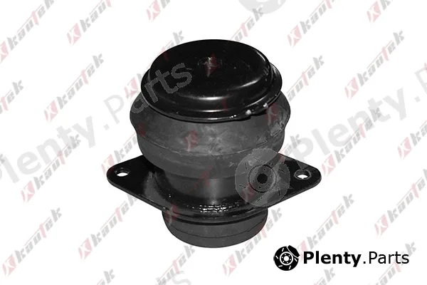 Kautek VW-EM033 — Mounting, engine