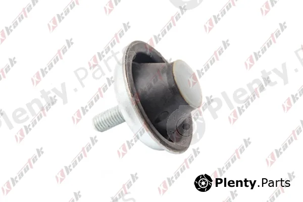 Kautek PE-EM004 — Mounting, engine