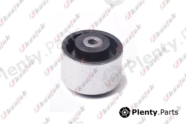 Kautek PE-BS023 — Mounting, engine