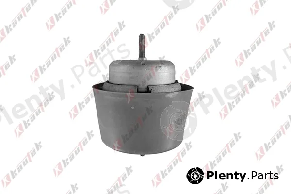 Kautek AU-EM008 — Mounting, engine
