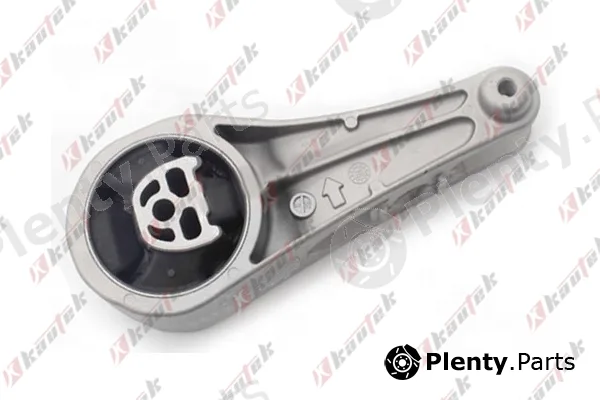 Kautek CH-TM001 — Mounting, automatic transmission