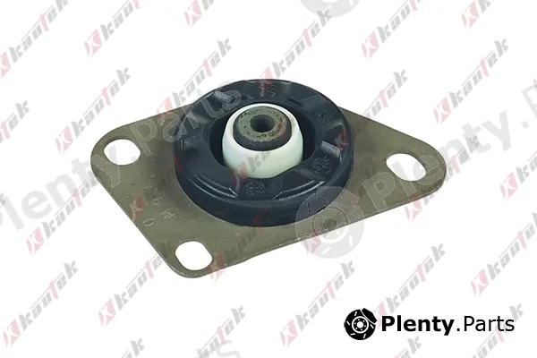 Kautek FI-EM003 — Mounting, automatic transmission