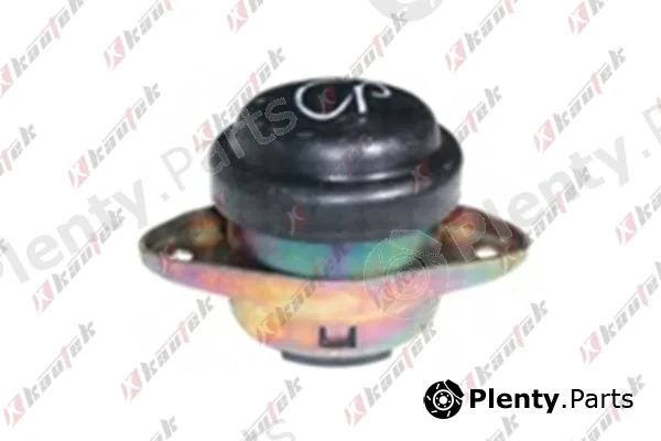 Kautek PE-EM029 — Mounting, engine