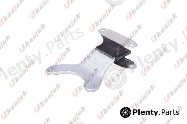 Kautek FI-TM001 — Mounting, automatic transmission