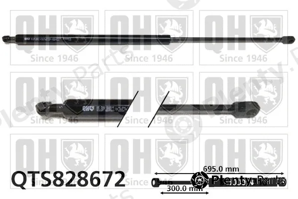 Quinton Hazell QTS828672 — Gas Spring, boot/cargo area