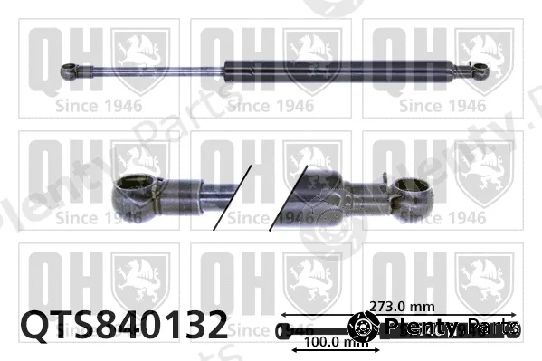 Quinton Hazell QTS840132 — Gas Spring, boot/cargo area