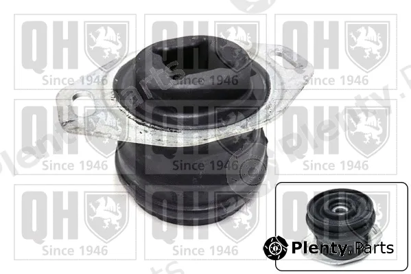 Quinton Hazell EM4878 — Mounting, engine