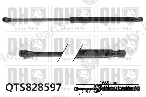 Quinton Hazell QTS828597 — Gas Spring, boot/cargo area