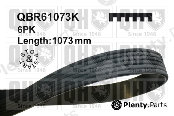 Quinton Hazell QBR61073K — V-Ribbed Belt