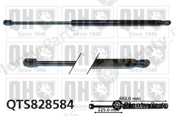 Quinton Hazell QTS828584 — Gas Spring, boot/cargo area