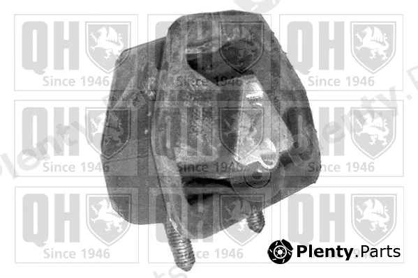 Quinton Hazell EM1693 — Mounting, engine
