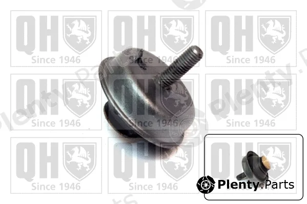 Quinton Hazell EM4386 — Mounting, engine