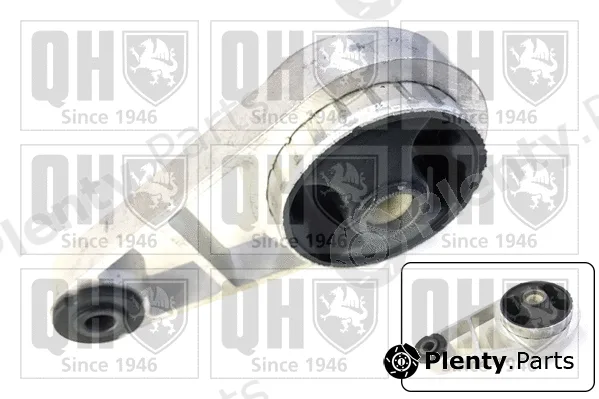 Quinton Hazell EM4838 — Mounting, engine